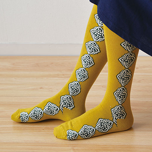 スタジオヒッラ