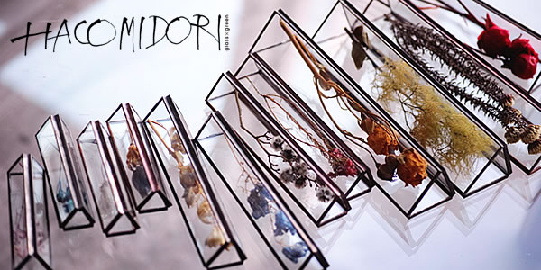 HACOMIDORI